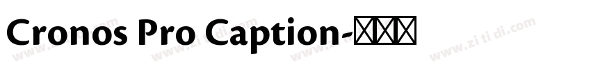 Cronos Pro Caption字体转换